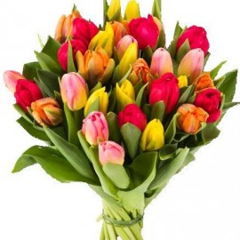 Dažādu krāsu tulpes