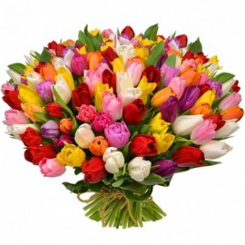 101 тюльпан (разных цветов)