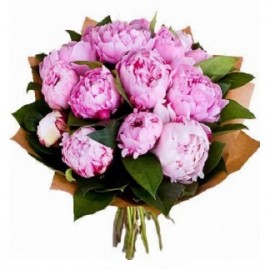 Peonijas