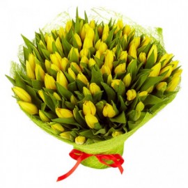 101 dzeltena tulpe
