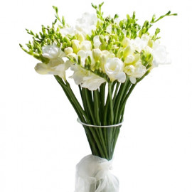 Freesias (select number)