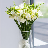 Freesias (select number)