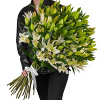 19 lilijas