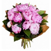 Peonijas