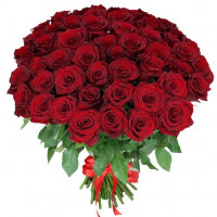 51 red rose 50 cm