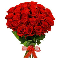 Красные розы 40 см (29 штук)