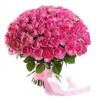 101 pink rose 50 cm