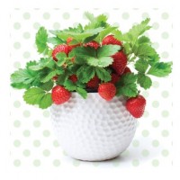 Сard Strawberries un pot 13xx13 cm