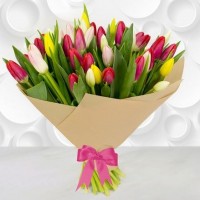 45 tulips in craft paper