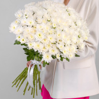 White chrysanthemums (select number)