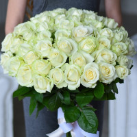 51 white rose 50 cm