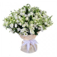 29 Lisianthus (White)