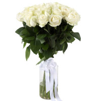 Long white roses 70 cm