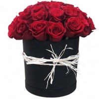 Red rose in a black flower box, cylindrical shape (only in Riga)